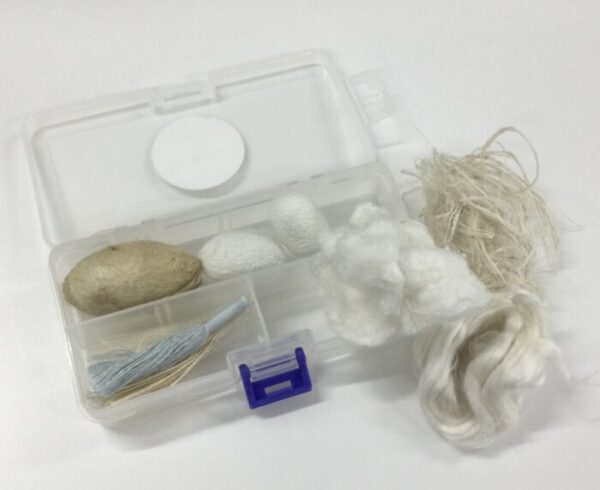 繊維ニュース 掲載