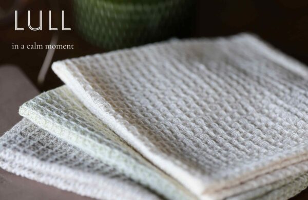 繊維ニュース　掲載